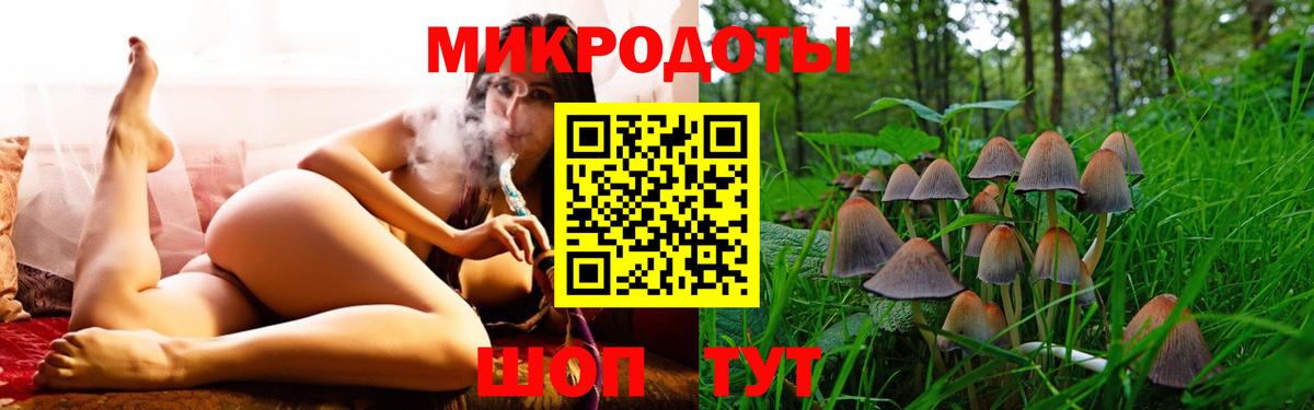 Галлюциногенные грибы прущие грибы  Псилоцибиновые грибы MAGIC MUSHROOMS  купить  цена  Саянск  Вход с VPN 